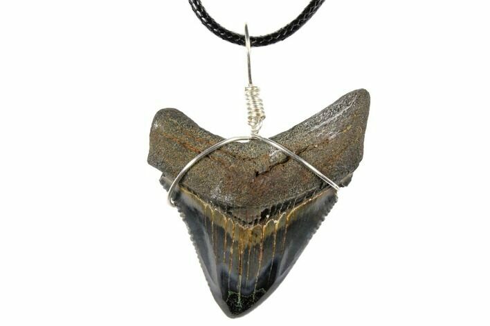 Fossil Megalodon Tooth Necklace - Serrated Blade #130949